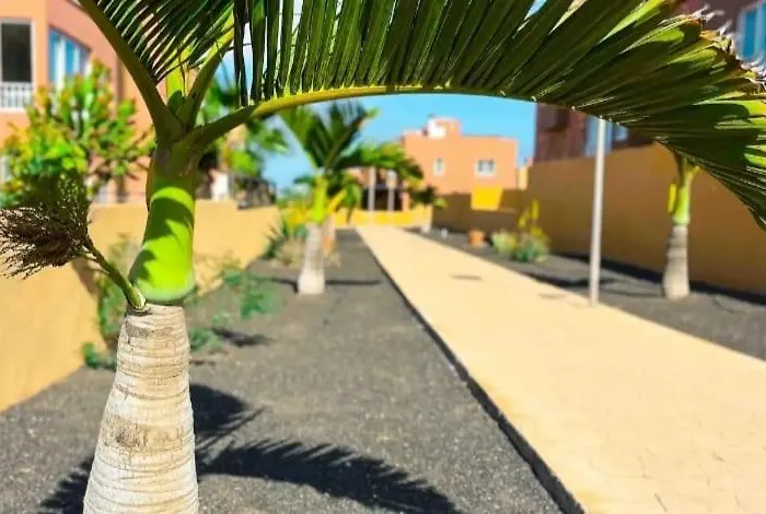 Apartment Dunas Dream Pool/chillout/ocean View Corralejo