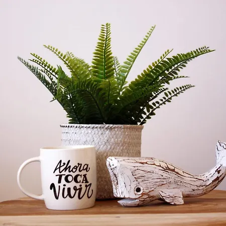 Apartamento Dunas Dream Pool/chillout/ocean View