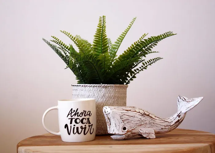 Apartament Dunas Dream Pool/chillout/ocean View